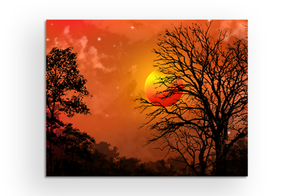 Download Sunset Vector Illustration Art - Wallart - Premium Resources